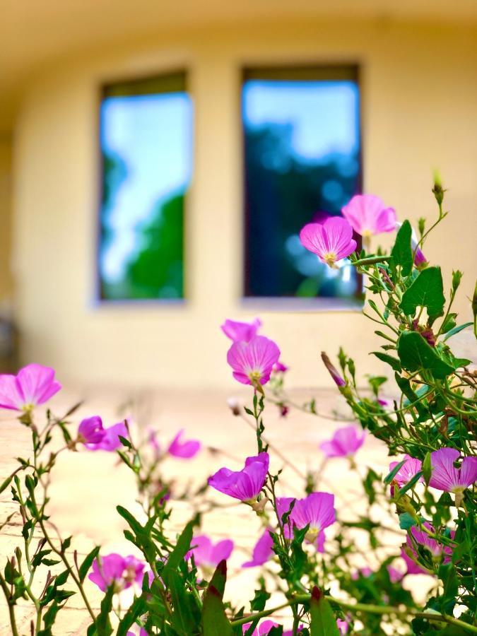 Armonia Corfu Luxury Apartment Лиападес Екстериор снимка