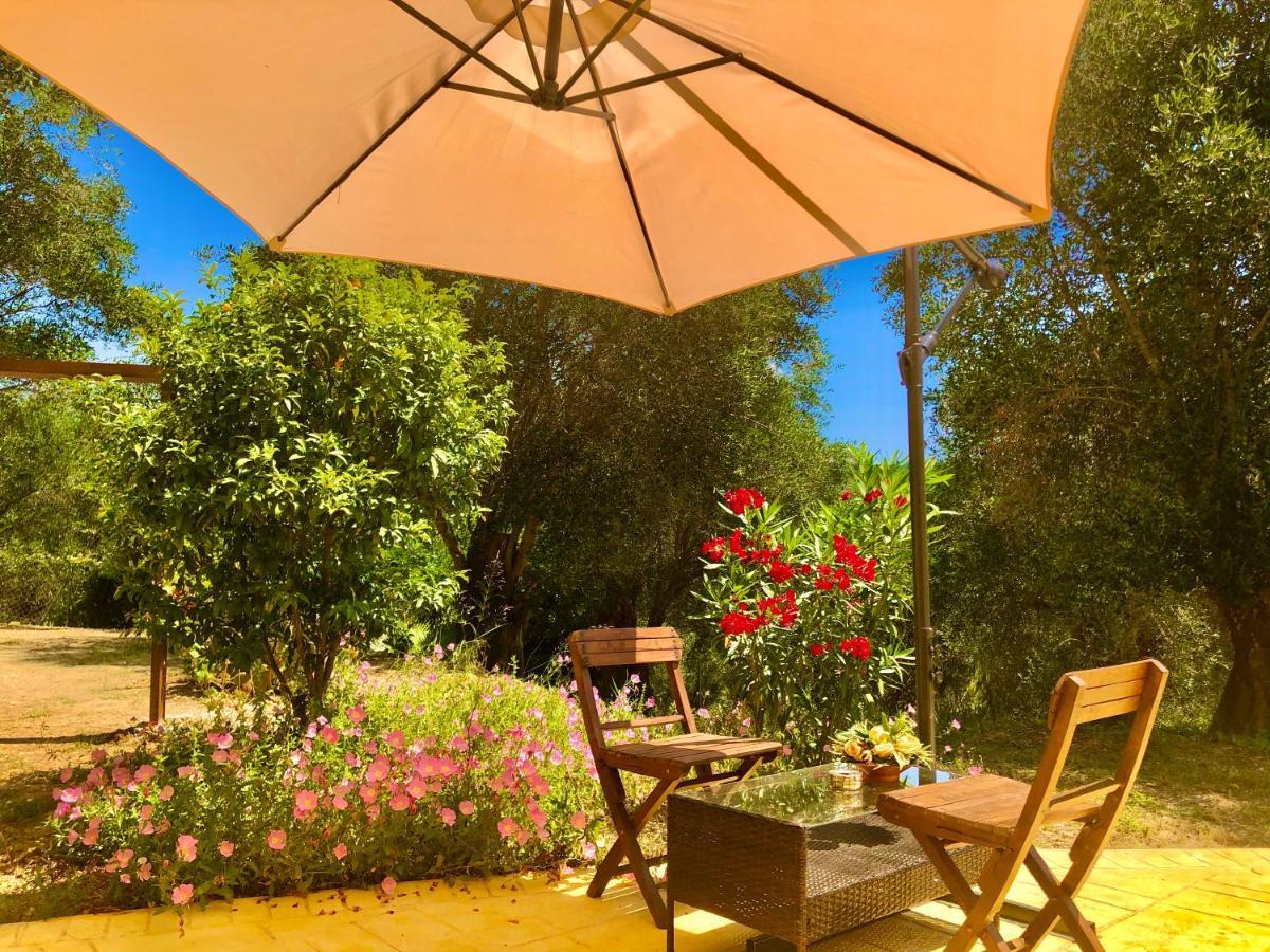 Armonia Corfu Luxury Apartment Лиападес Екстериор снимка