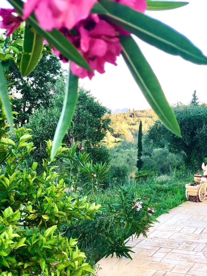 Armonia Corfu Luxury Apartment Лиападес Екстериор снимка